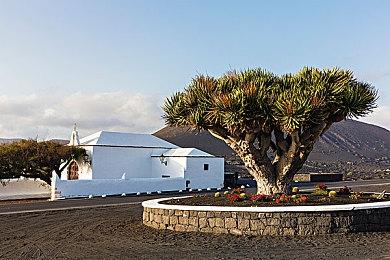 《鬼谷八荒》差评不断 Steam已超五万玩家给出差评