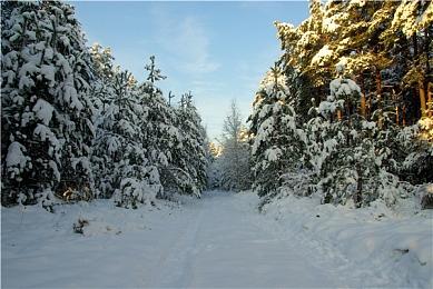 横版战斗武侠RPG《刀剑江湖路》新地图新武器现已上线