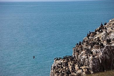 战地2042B测参与保姆级教程 2042测试下载方法